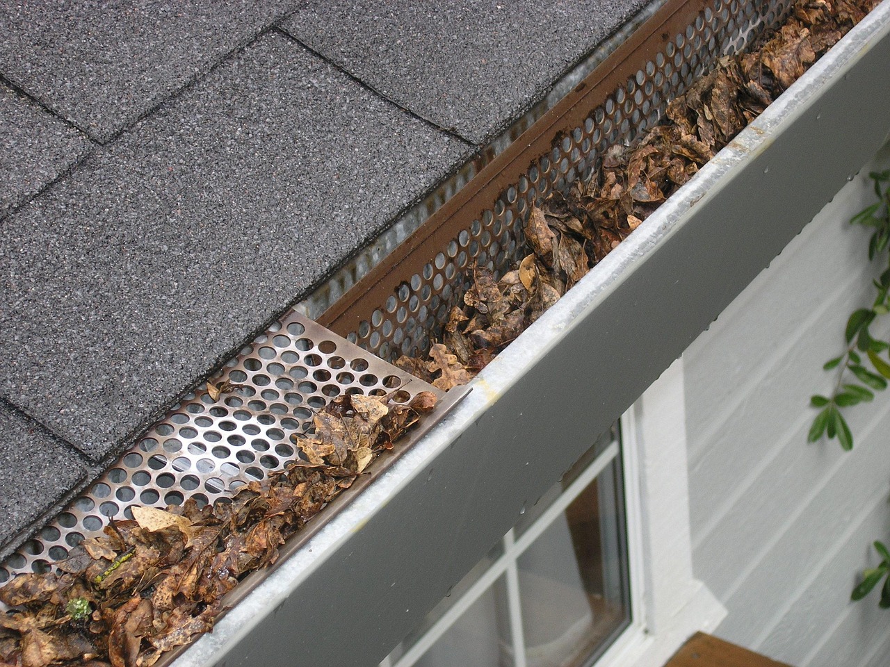 gutter-guard-ipswich-2434467_1280